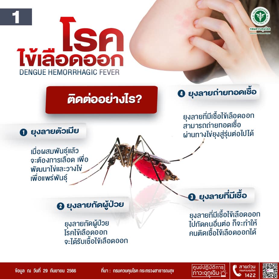 โรคไข้เลือดออก
