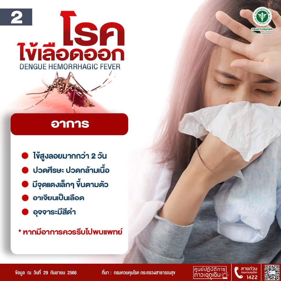 โรคไข้เลือดออก