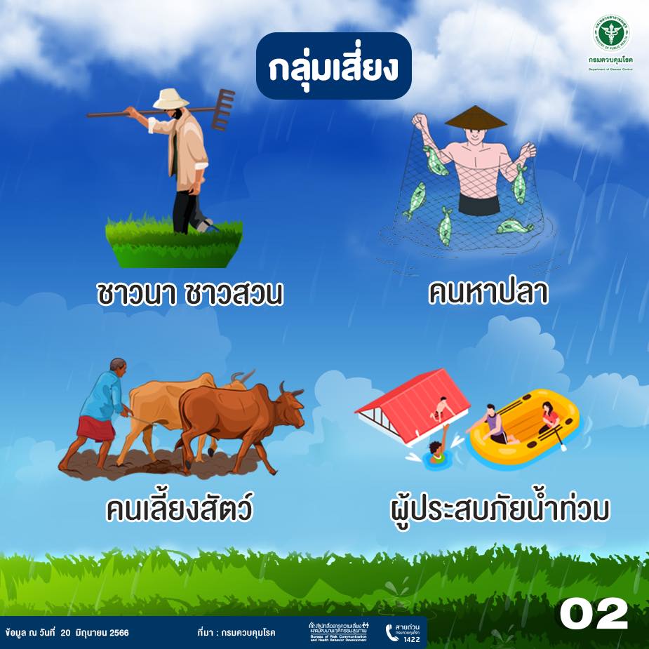 เลปโตสไปโรซิส