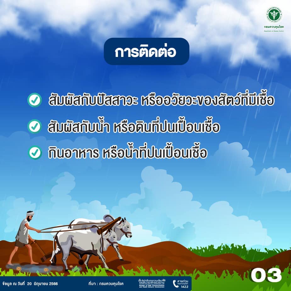 เลปโตสไปโรซิส
