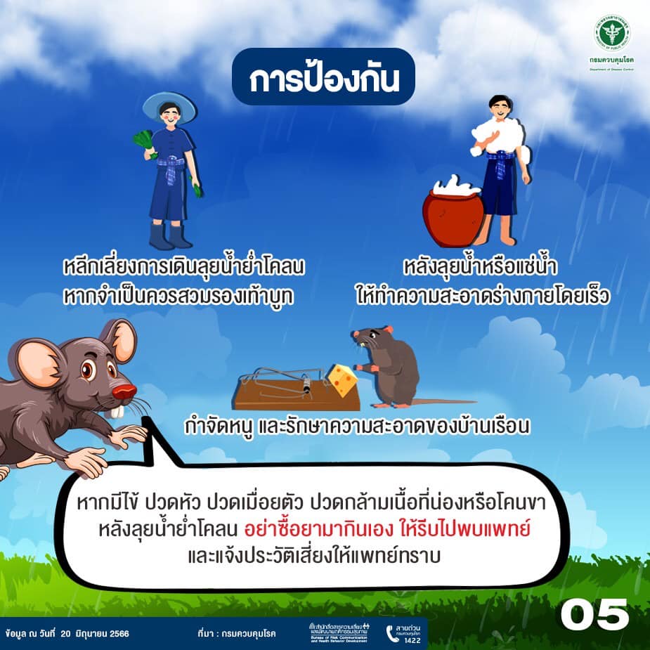 เลปโตสไปโรซิส